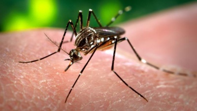 El dengue no da tregua y ya cobró la vida de 161 personas