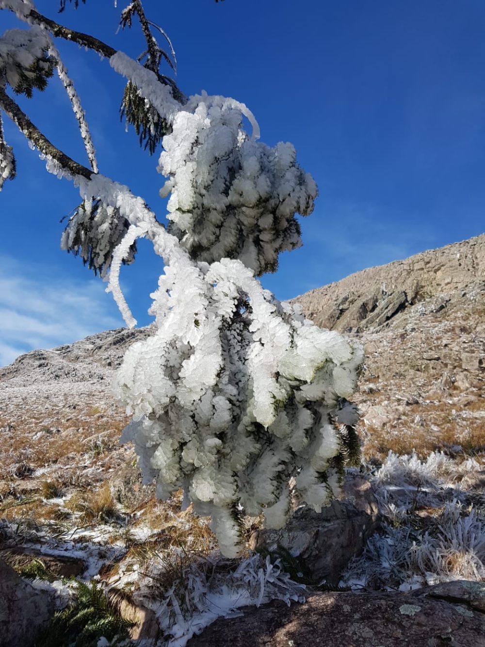 POSTALES BLANCAS QUE DEJÓ LA NIEVE EN PIGÜÉ