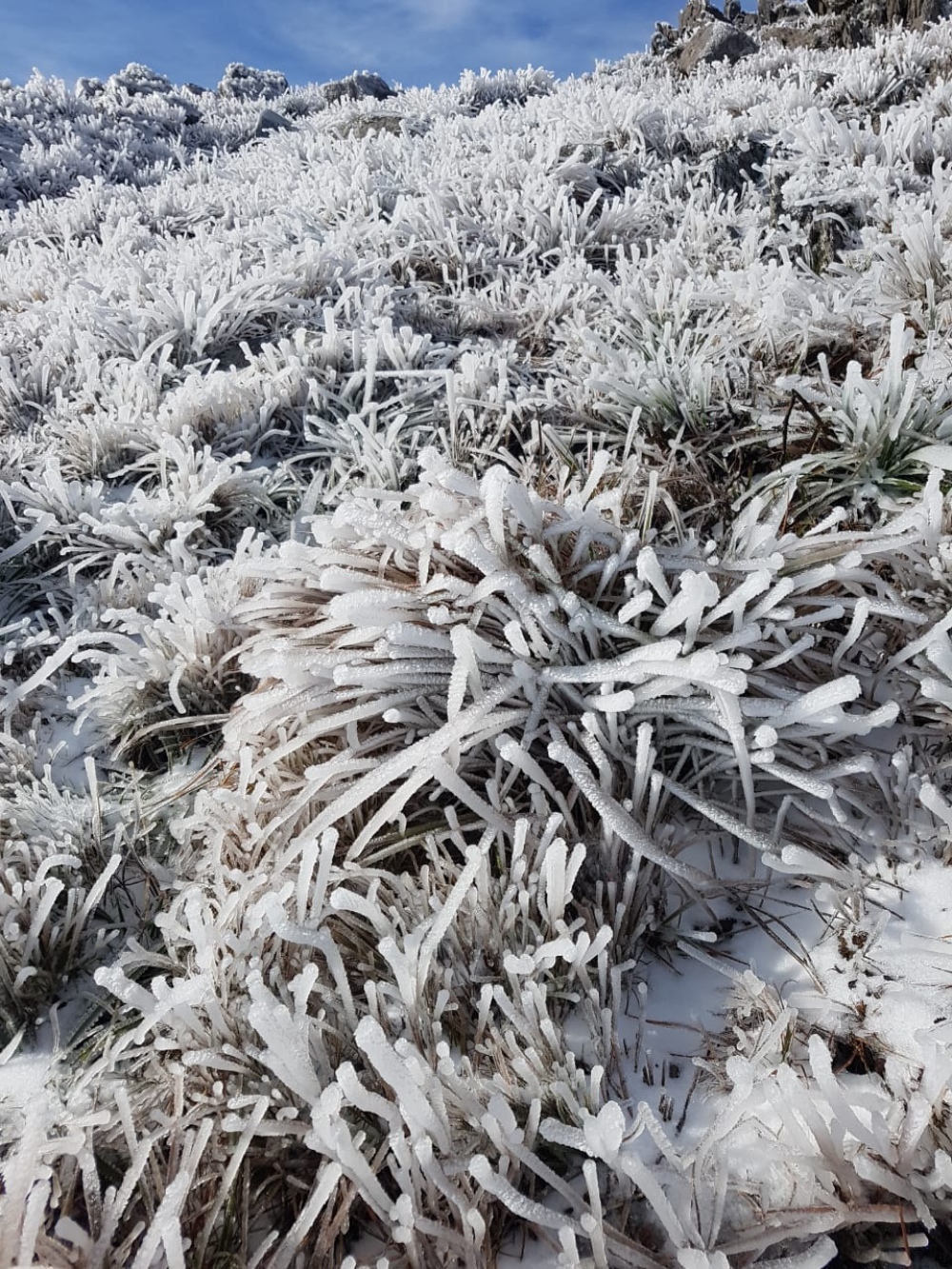 POSTALES BLANCAS QUE DEJÓ LA NIEVE EN PIGÜÉ