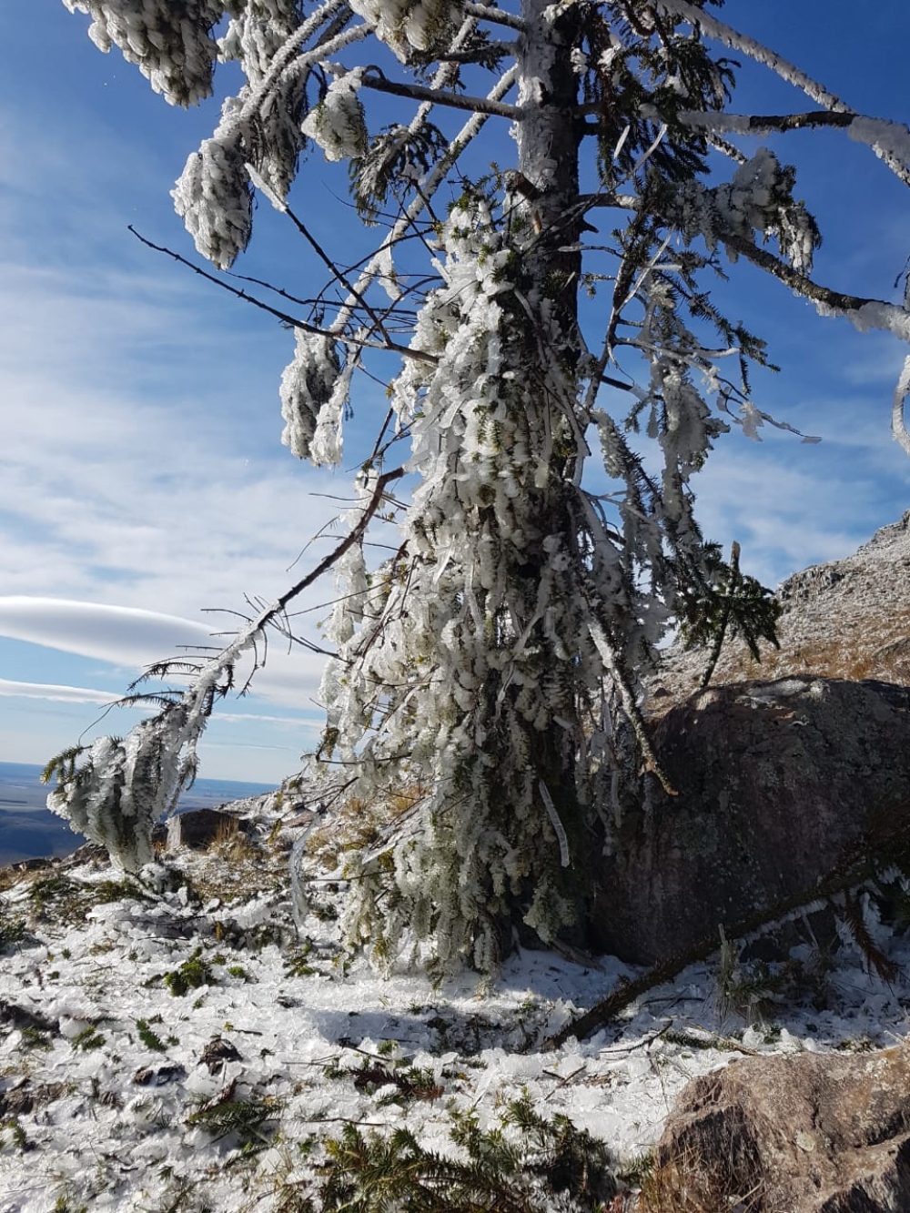 POSTALES BLANCAS QUE DEJÓ LA NIEVE EN PIGÜÉ