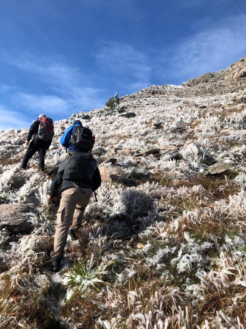 POSTALES BLANCAS QUE DEJÓ LA NIEVE EN PIGÜÉ