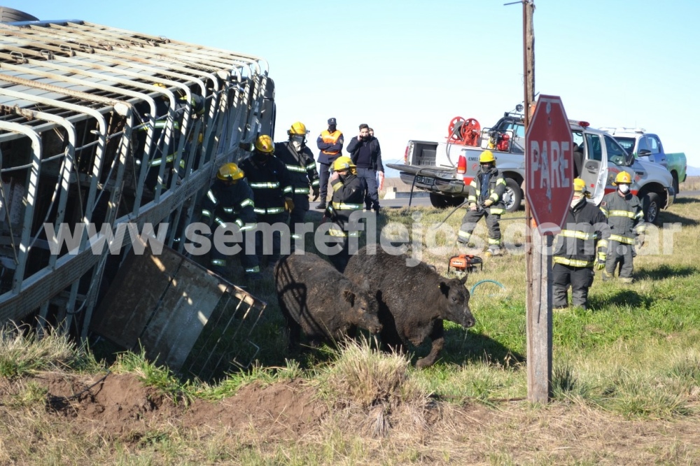 VOLCÓ UN CAMIÓN CON HACIENDA EN LA 33