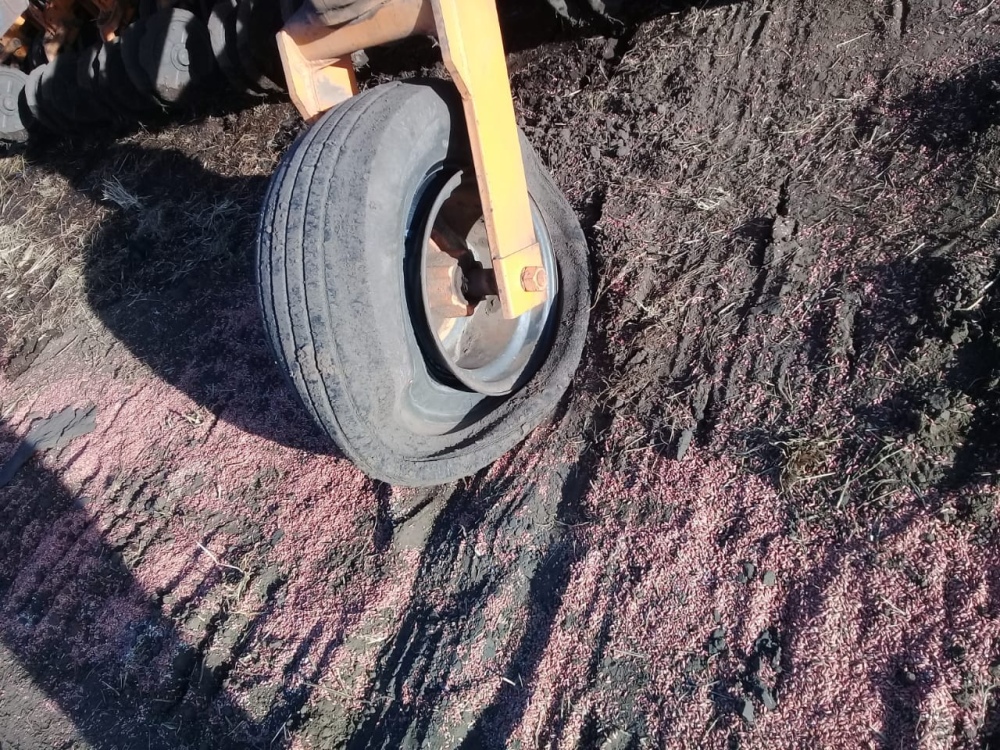 HECHO VANDALICO EN UN CAMPO DE SAAVEDRA