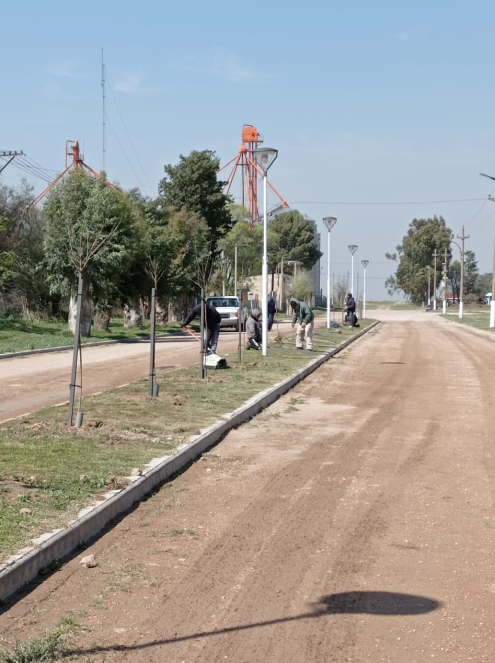 Programa de forestación y reforestación en Dufaur