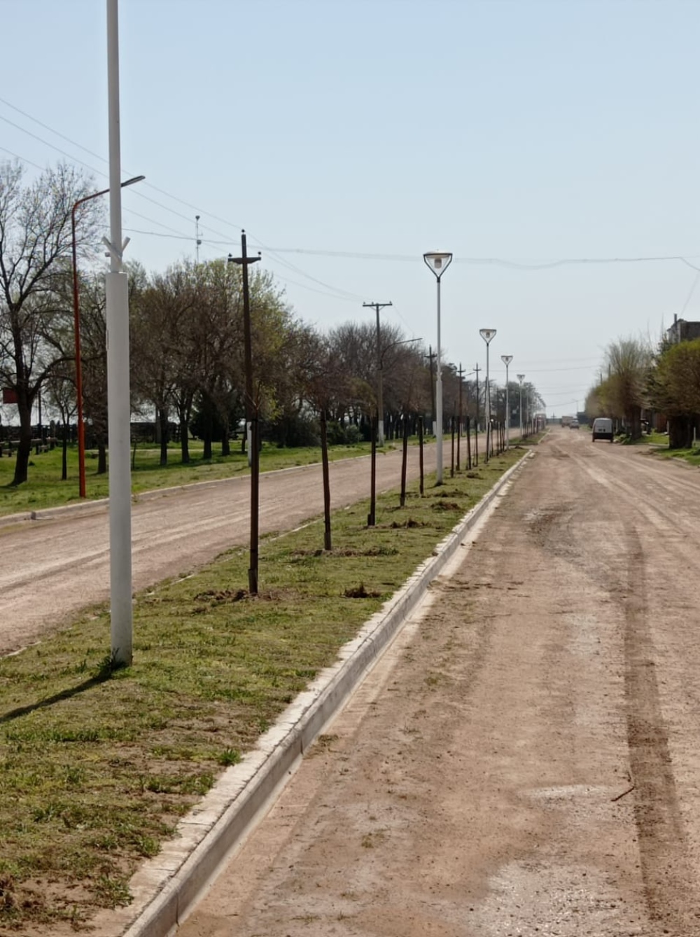 Programa de forestación y reforestación en Dufaur