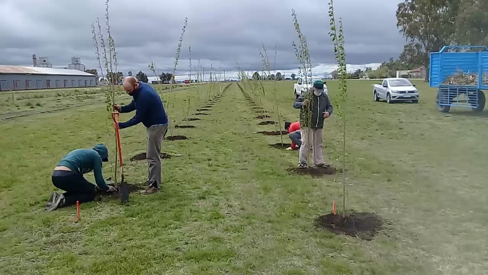 SE COLOCARON 238 PLANTAS EN ESPARTILLAR