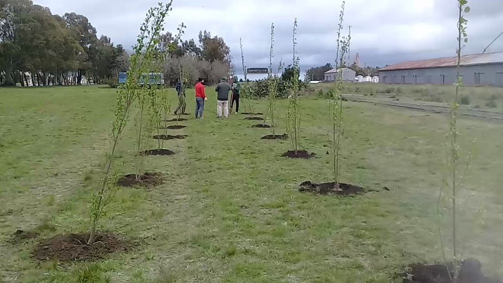 SE COLOCARON 238 PLANTAS EN ESPARTILLAR