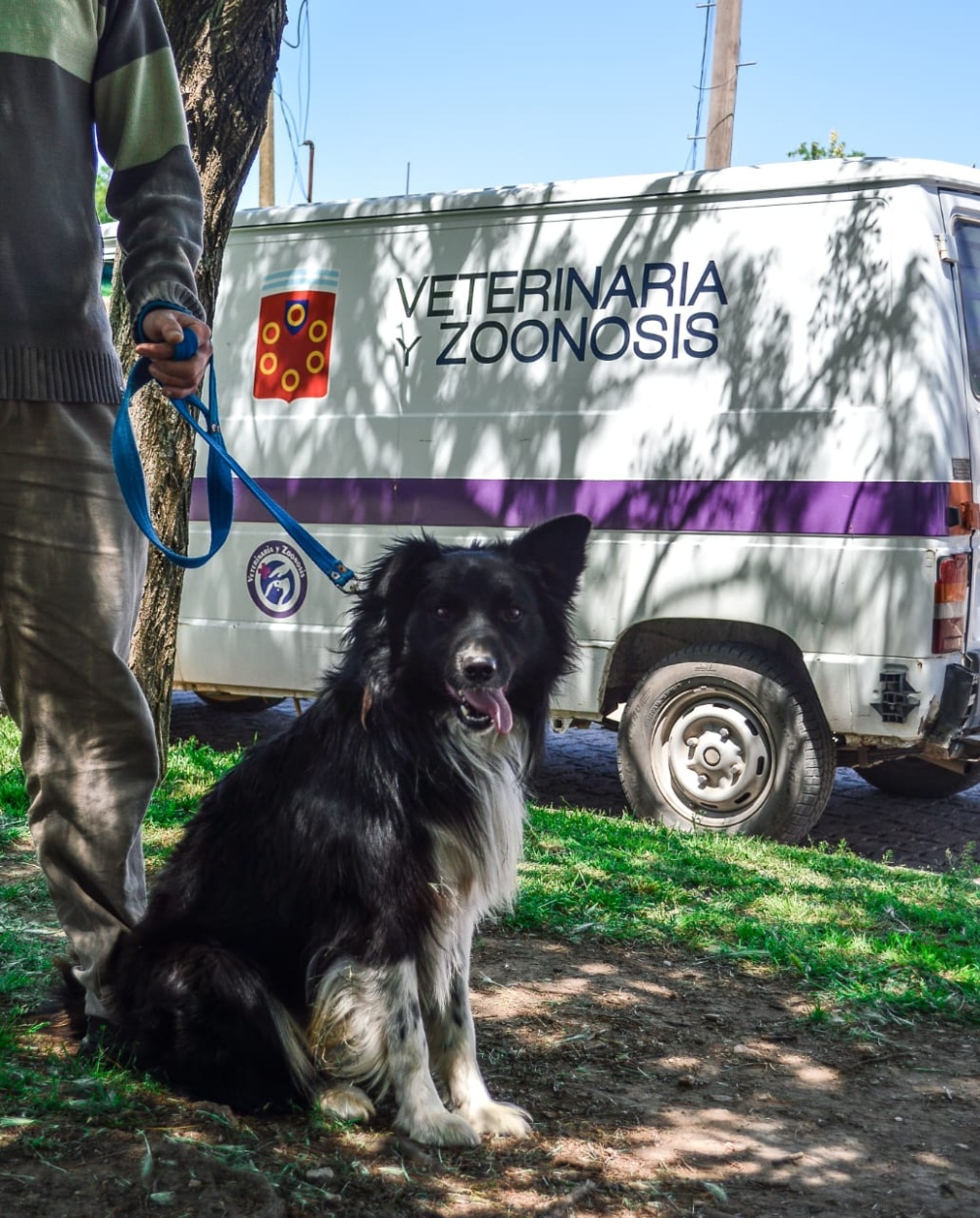 CASTRACIÓN Y DENUNCIAS