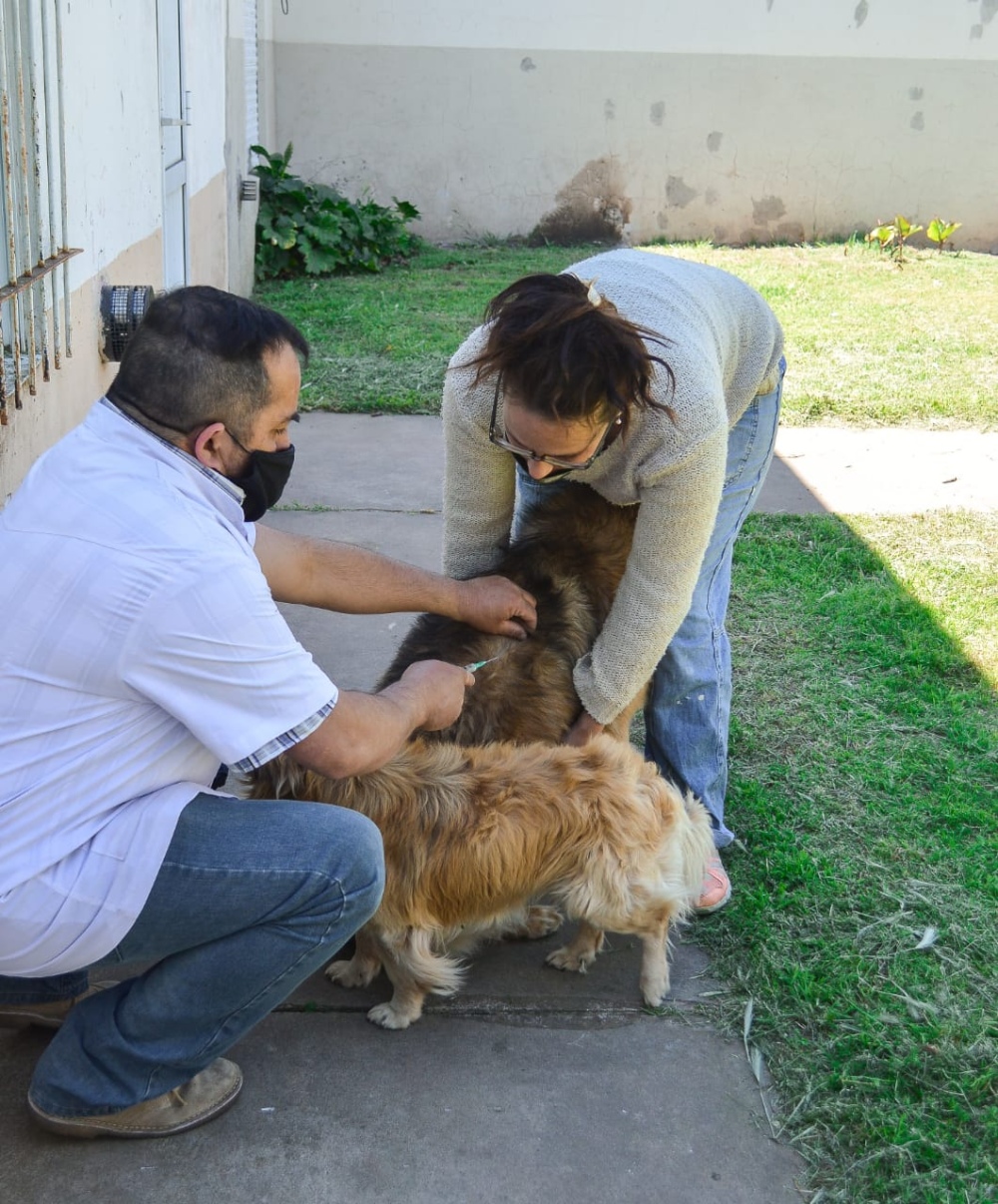 CASTRACIONES EN EL BARRIO ”JUAN MURGUIA”