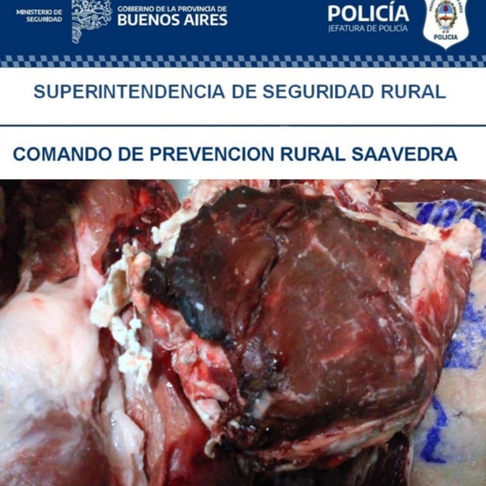 DECOMISARON CARNE Y CHACINADOS EN UNA CARNICERÍA DE PIGÜÉ