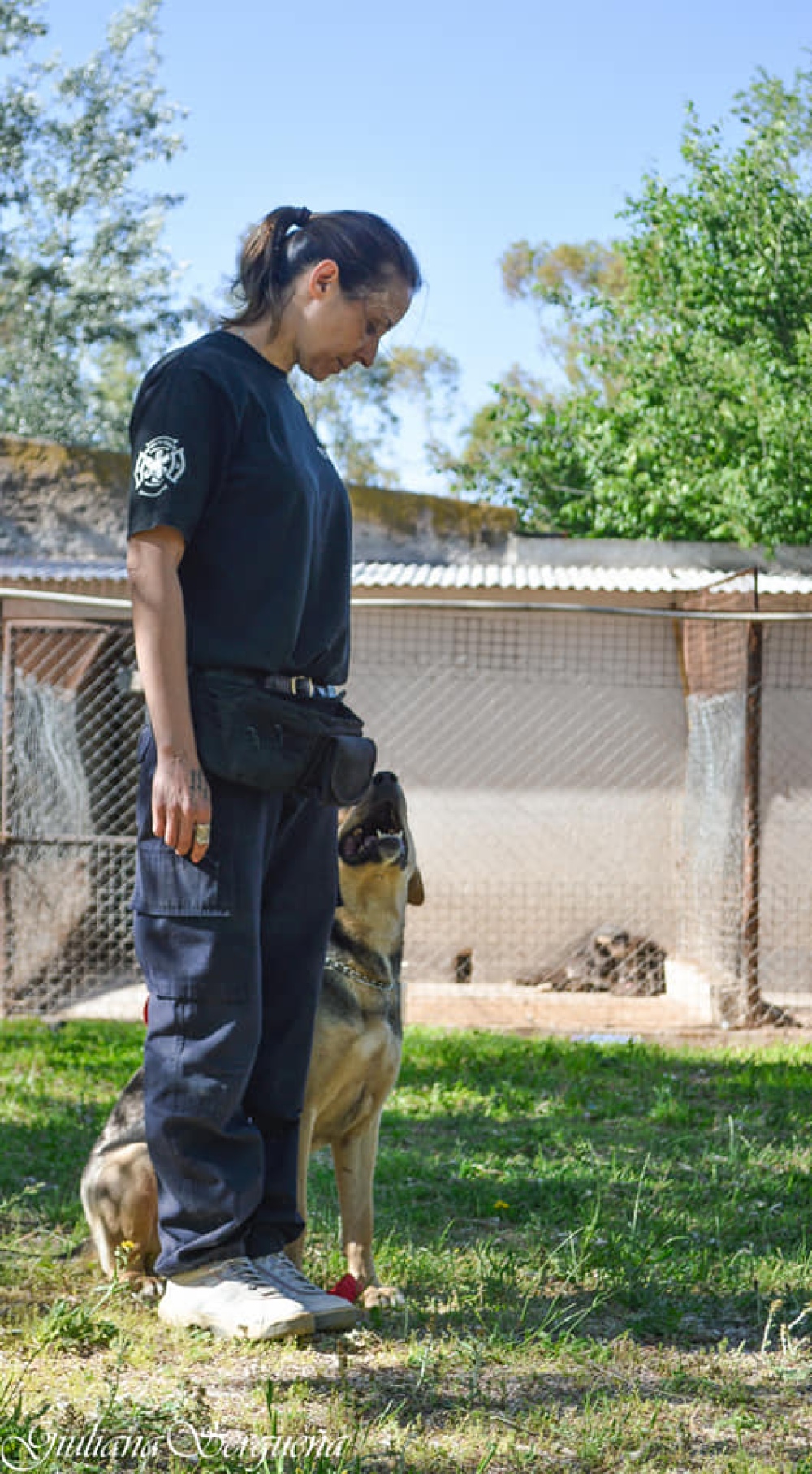 EL MUNICIPIO REEDUCA PERROS PELIGROSOS PARA DARLOS EN ADOPCION