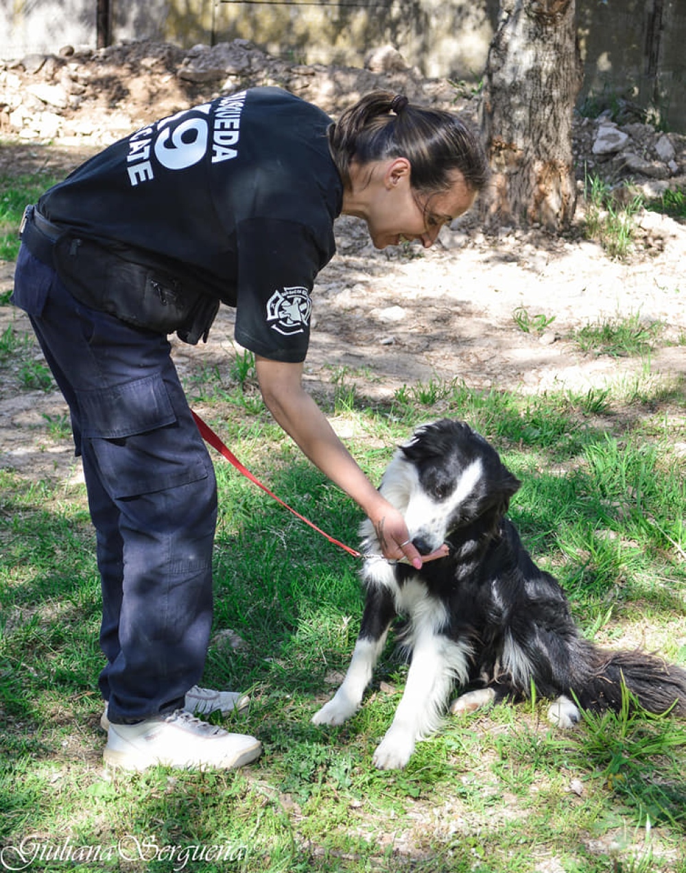 EL MUNICIPIO REEDUCA PERROS PELIGROSOS PARA DARLOS EN ADOPCION