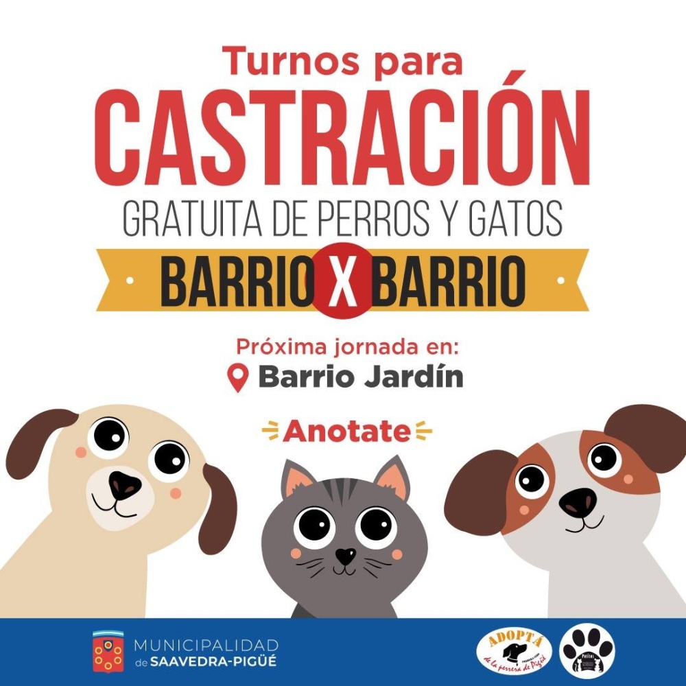 CASTRACIÓN EN EL BARRIO JARDÍN