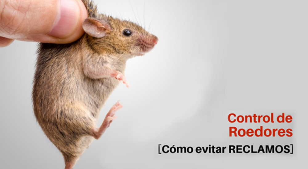 ZOONOSIS EXPLICÓ COMO CONTROLAN LOS ROEDORES