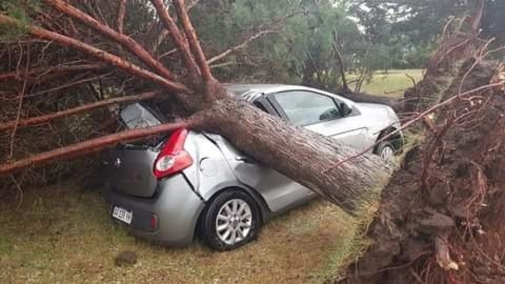 DARREGUEIRA: LA TORMENTA CAUSÓ DAÑOS MATERIALES