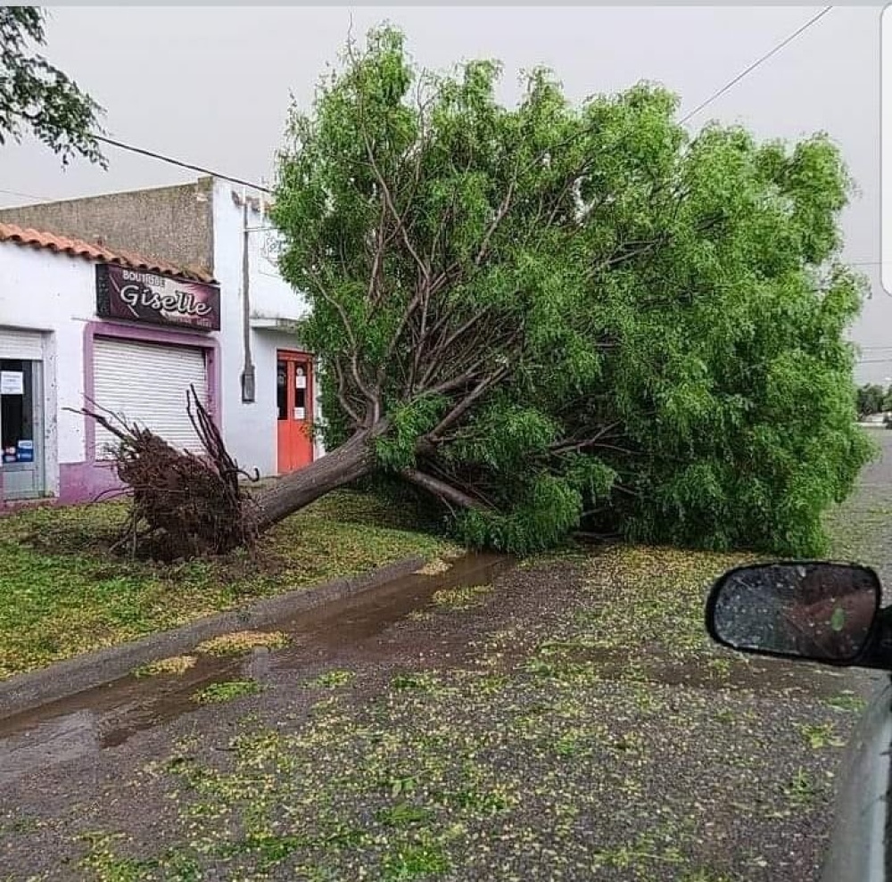 DARREGUEIRA: LA TORMENTA CAUSÓ DAÑOS MATERIALES