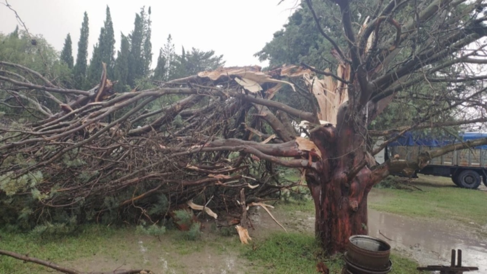 DARREGUEIRA: LA TORMENTA CAUSÓ DAÑOS MATERIALES