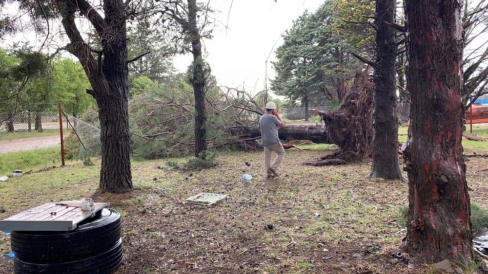 DARREGUEIRA: LA TORMENTA CAUSÓ DAÑOS MATERIALES