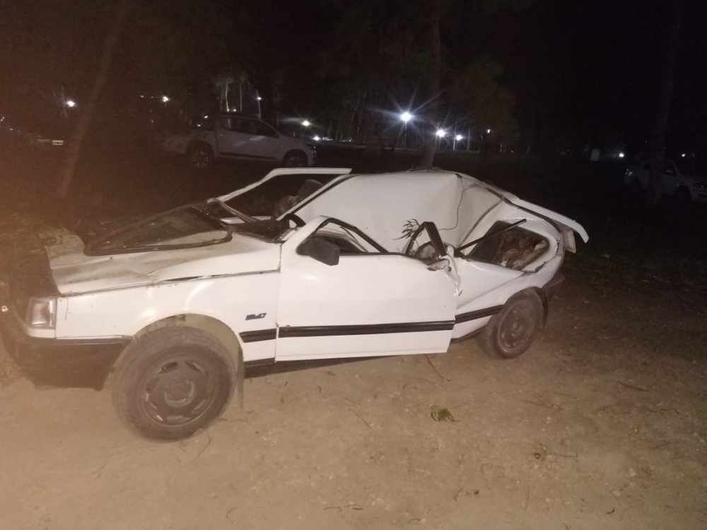 UN ARBOL APLASTÓ A UN AUTO EN EL PARQUE MUNICIPAL