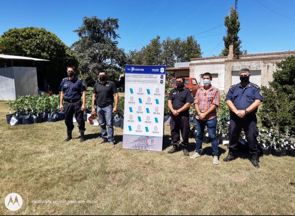 ALLANAMIENTO POR DROGAS EN UN CAMPO CERCANO A ESPARTILLAR