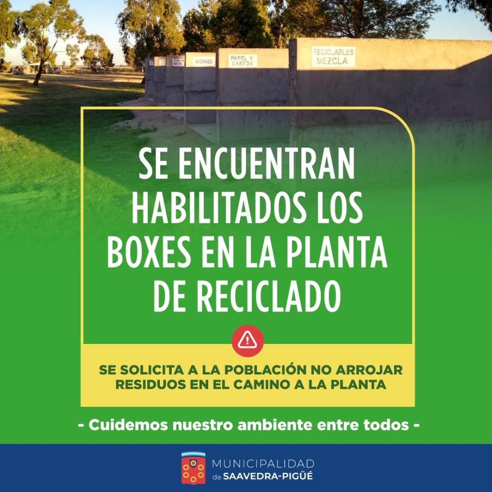 BOXES EN LA PLANTA DE RECICLADO