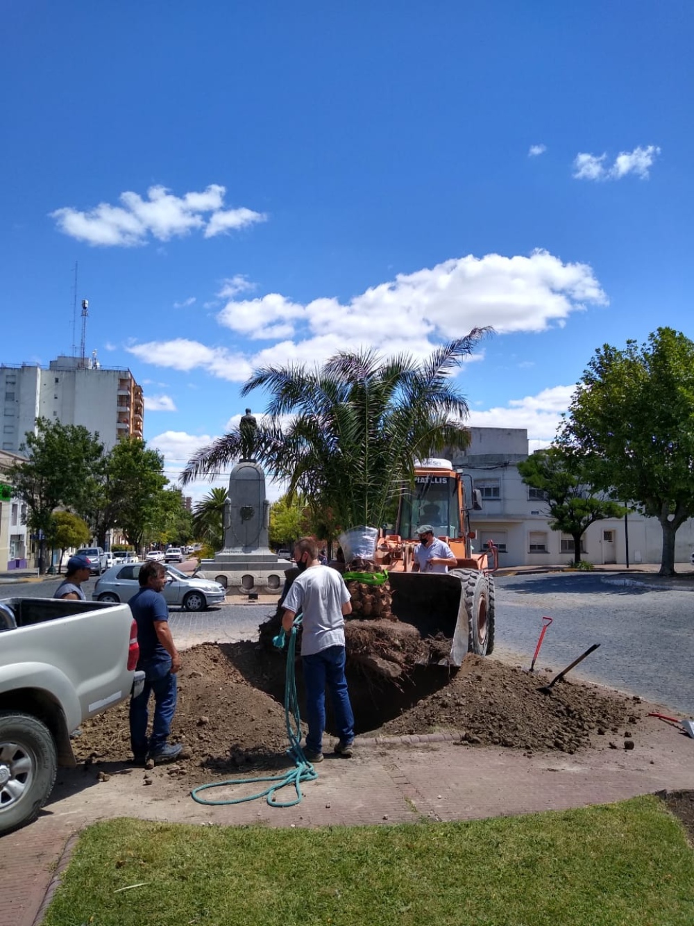 COLOCACIÓN DE NUEVAS PALMERAS