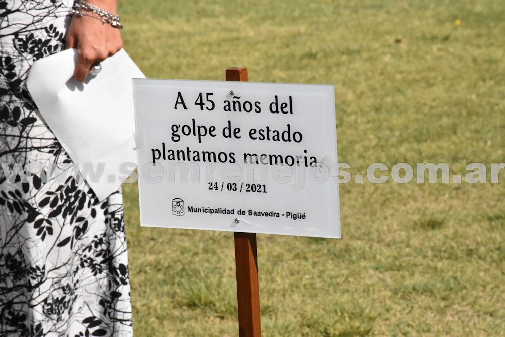 Plantaron árboles para que la memoria colectiva no olvide el golpe del ‘76