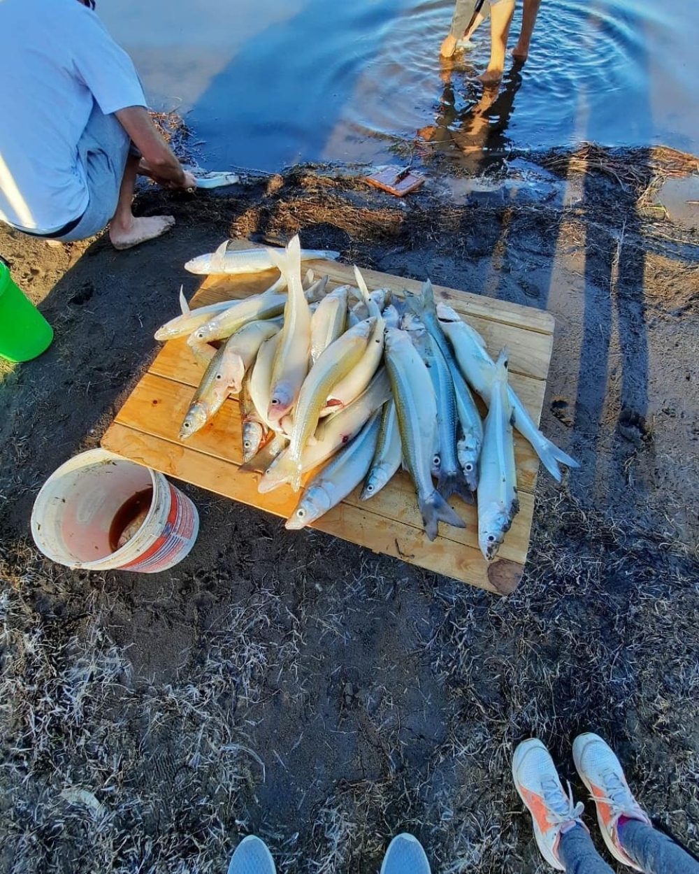 CONCURSO DE PESCA EN LAS ENCADENADAS