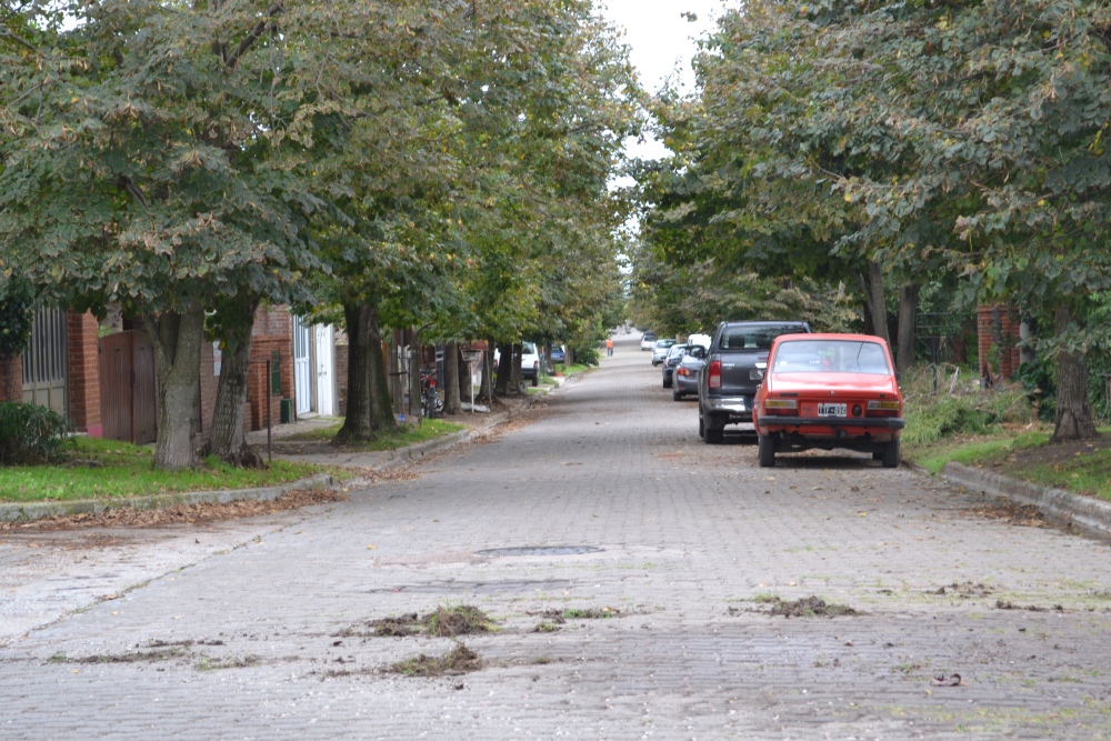 LA CAIDA DE HOJAS COMPLICA AL BARRIO JARDÍN