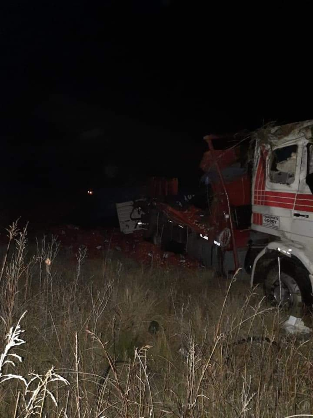 Dos camiones chocaron con 9 vacunos en la RP 65