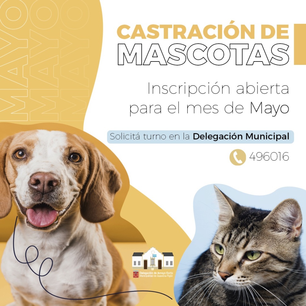 CASTRACIÓN DE MASCOTAS EN ARROYO CORTO