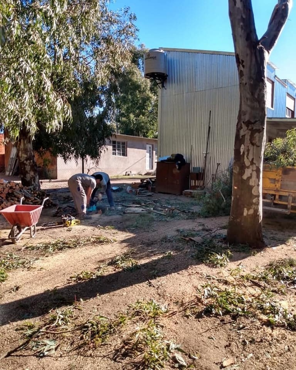 El club de pesca Pigüé realizó trabajos de poda