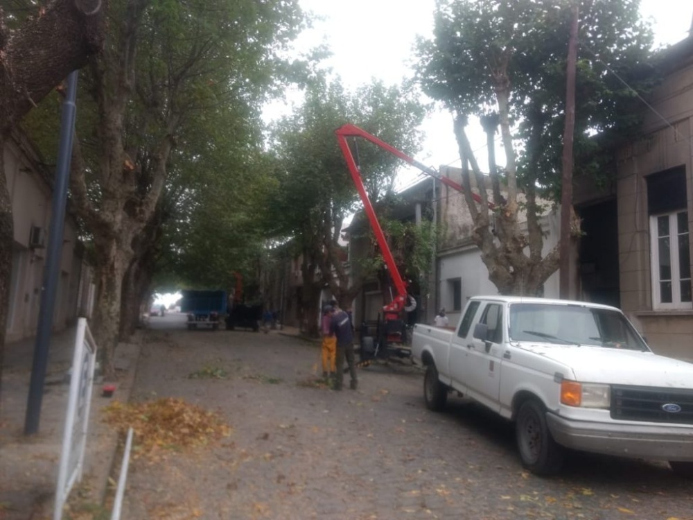 NUEVA ESTUFA DE ESTERILIZACIÓN EN SECO PARA EL HOSPITAL DE SAAVEDRA