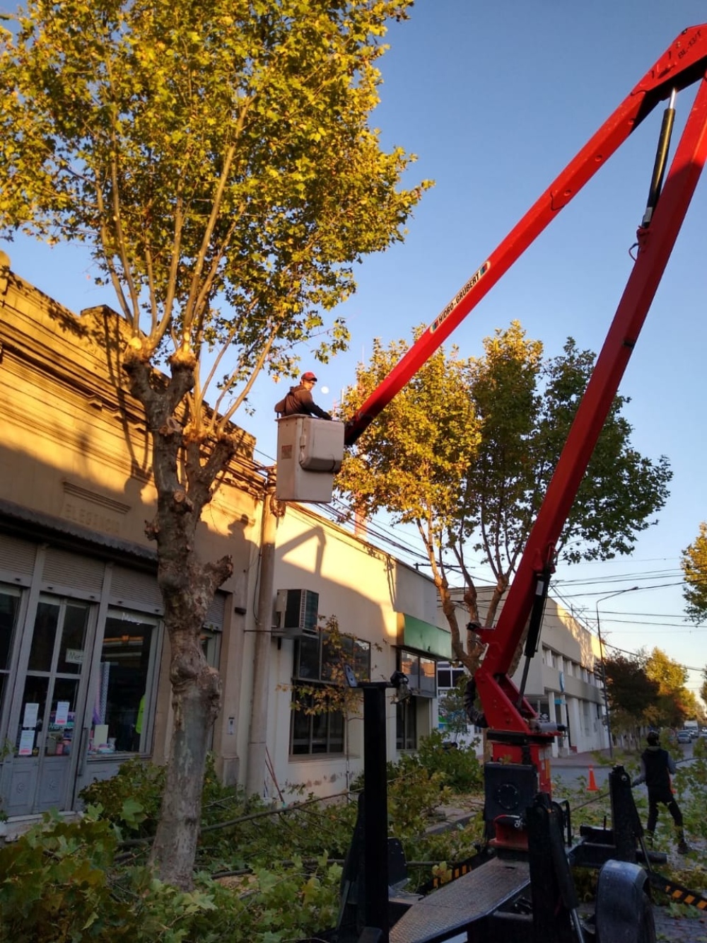 El taller protegido vende chipeado