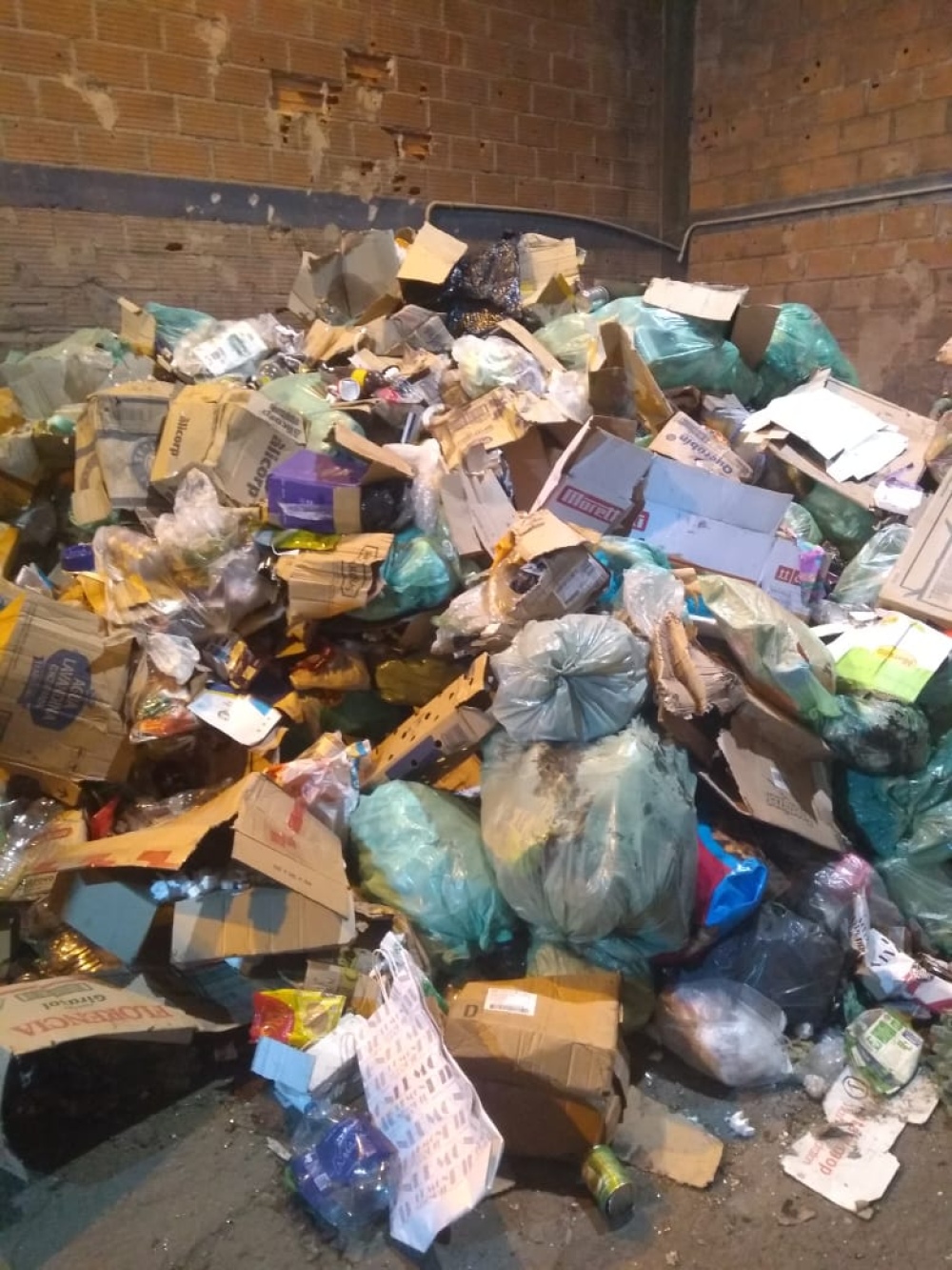 ¿Cómo se separa la basura de los martes verdes en la planta de reciclado?