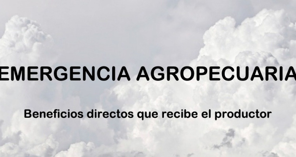 ULTIMOS DIAS PARA INSCRIBIRSE EN LA EMERGENCIA AGROPECUARIA