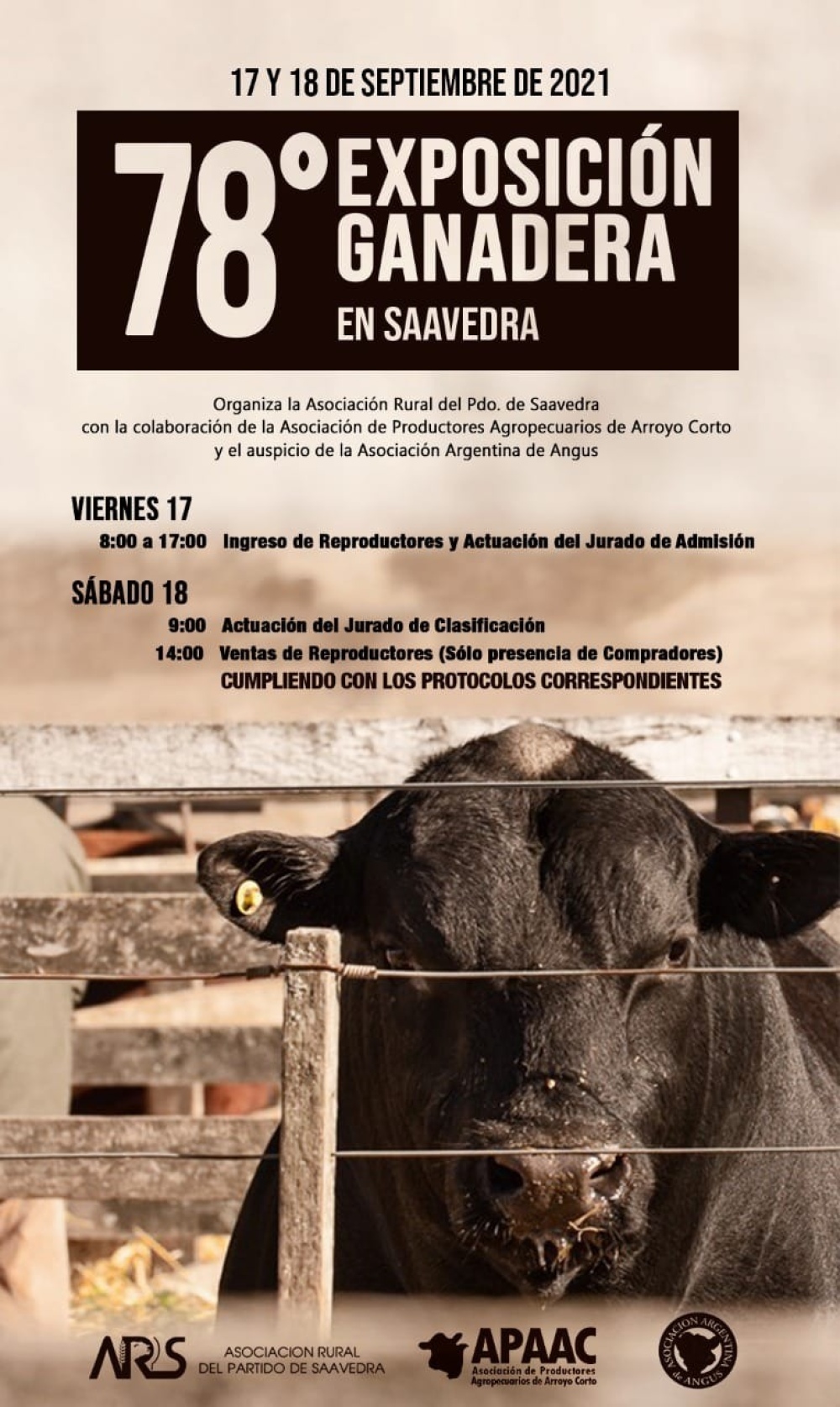 Todo listo para la 78º Expo Rural de Saavedra