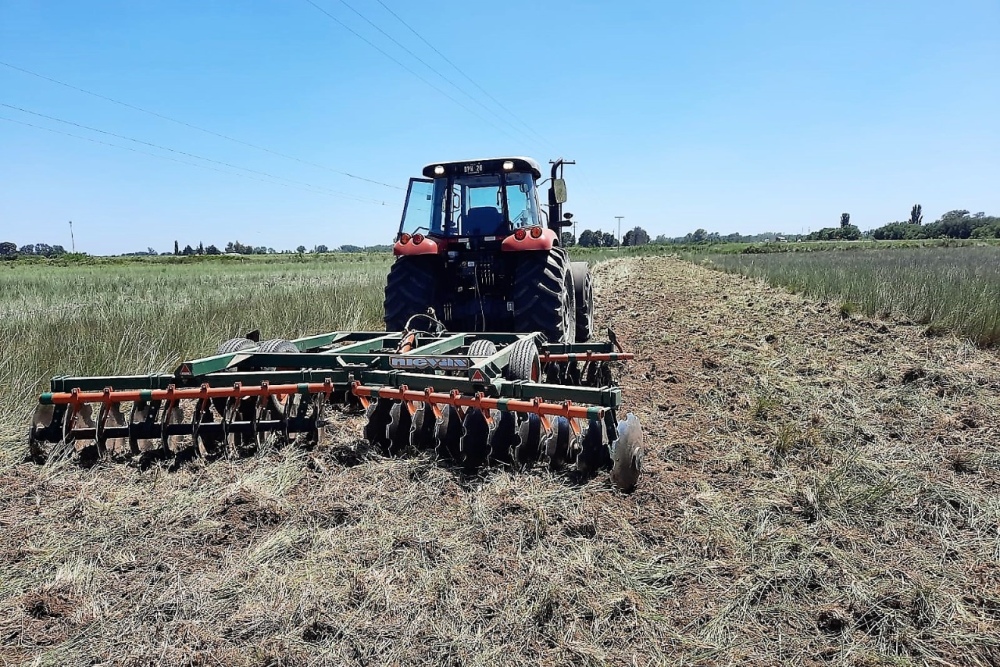 PREVENCIÓN DE INCENDIOS: MANTENIMIENTO DE ZONA DE CAMINO EN EPOCA ESTIVAL