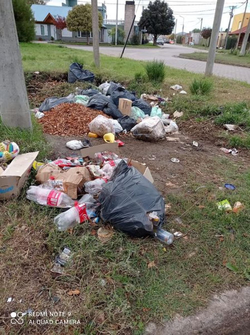 Reclaman por vecinos que tiran basura en la calle y dejan perros sueltos