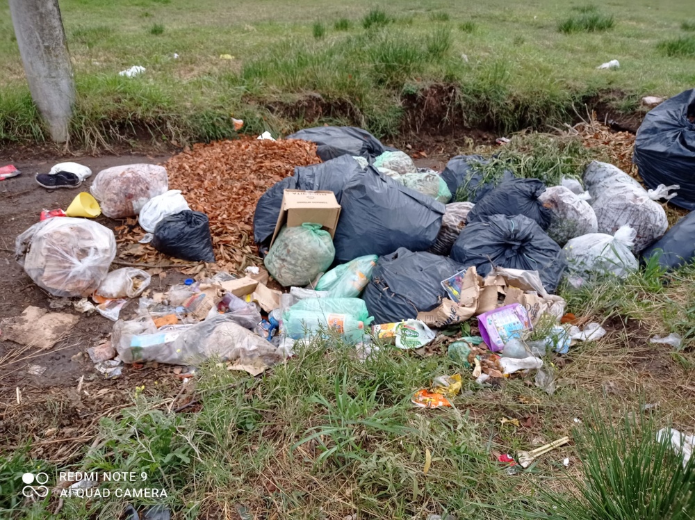 Reclaman por vecinos que tiran basura en la calle y dejan perros sueltos