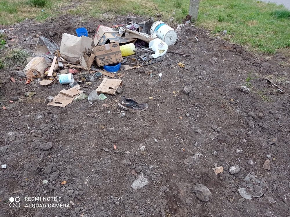 Reclaman por vecinos que tiran basura en la calle y dejan perros sueltos