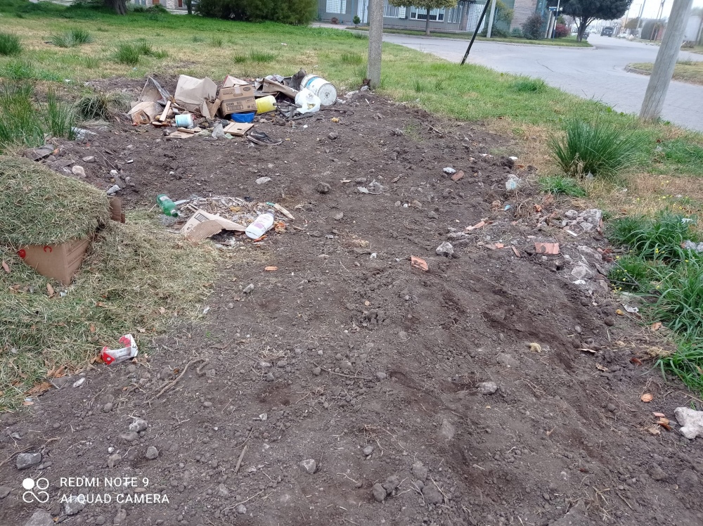 Reclaman por vecinos que tiran basura en la calle y dejan perros sueltos