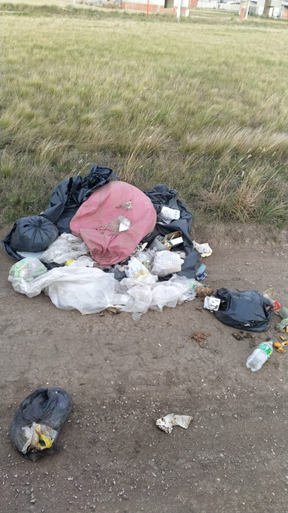 Reclaman por vecinos que tiran basura en la calle y dejan perros sueltos