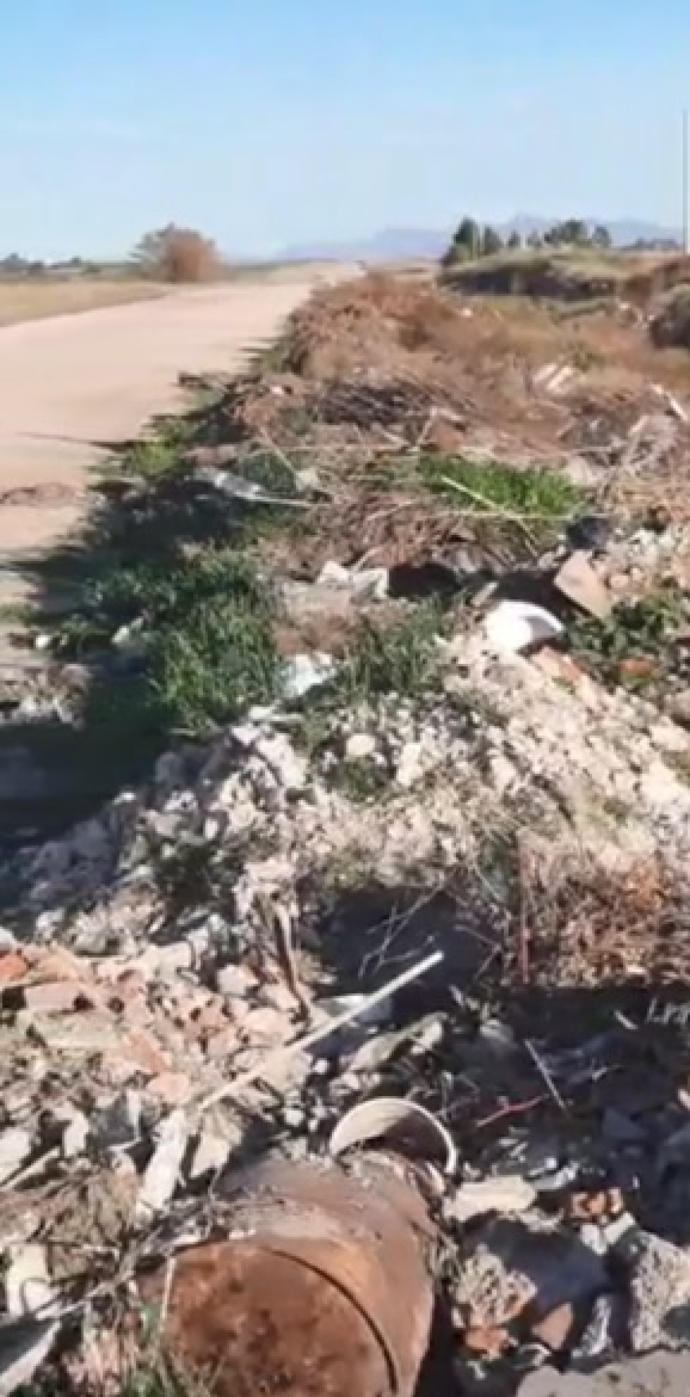 Reclaman por vecinos que tiran basura en la calle y dejan perros sueltos