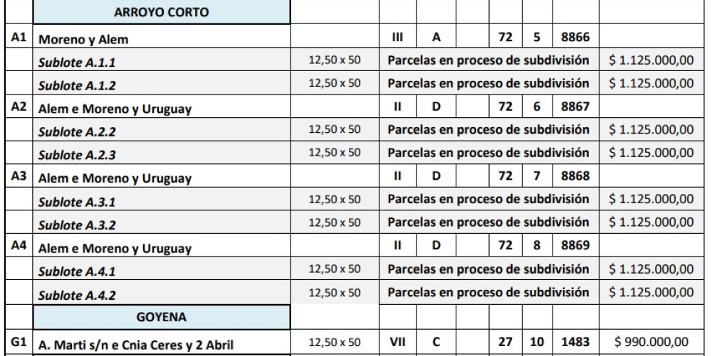 Salieron a la venta 29 lotes municipales en todo el distrito