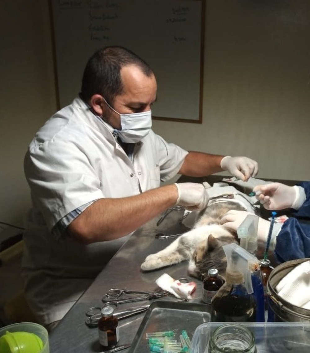 Grave denuncia del círculo de veterinarios hacia zoonosis municipal