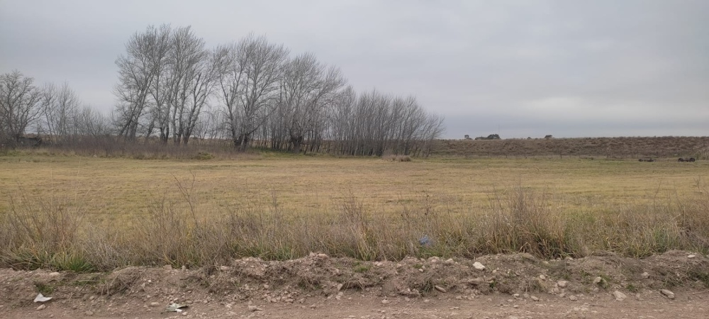 Barrio Los Horneros: harán una plaza interactiva y sustentable