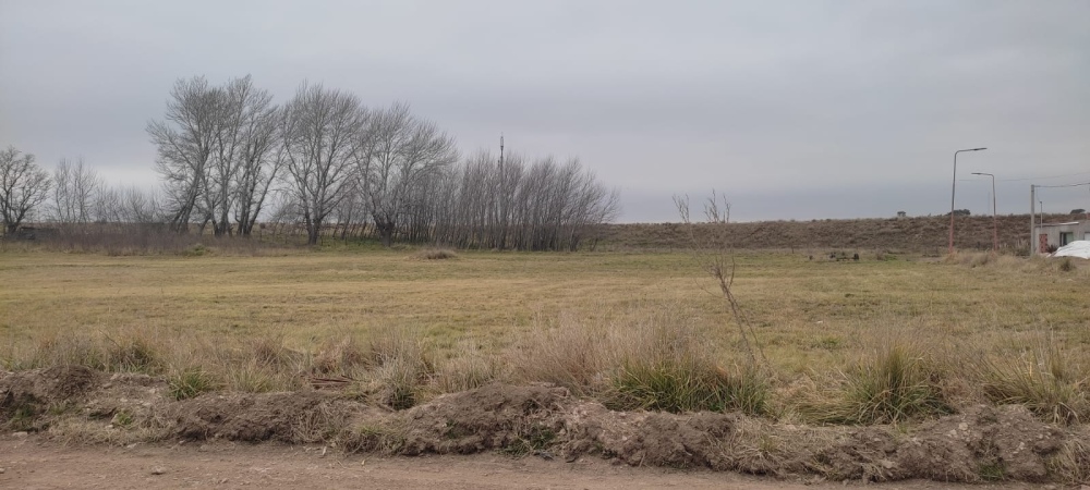 Barrio Los Horneros: harán una plaza interactiva y sustentable