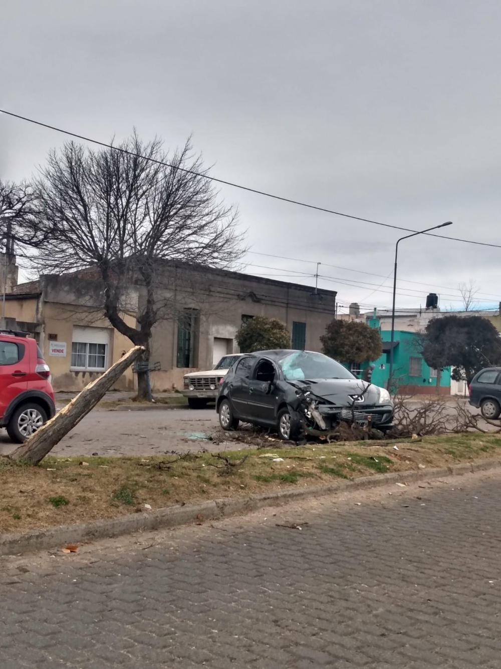 UN AUTO COLISIONÓ CONTRA UN ÁRBOL EN LA AV. MITRE