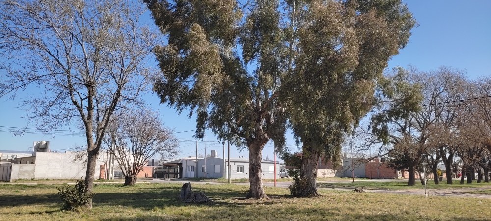 Barrio Altos del Aeroclub: vecinos juntaron casi 260 mil pesos para la plaza